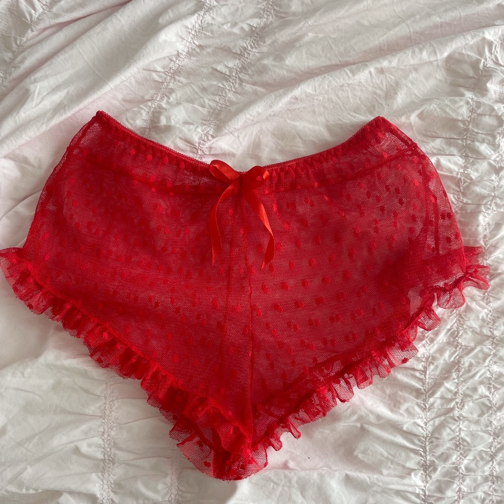 Red mesh sexy boyshort. Size small.